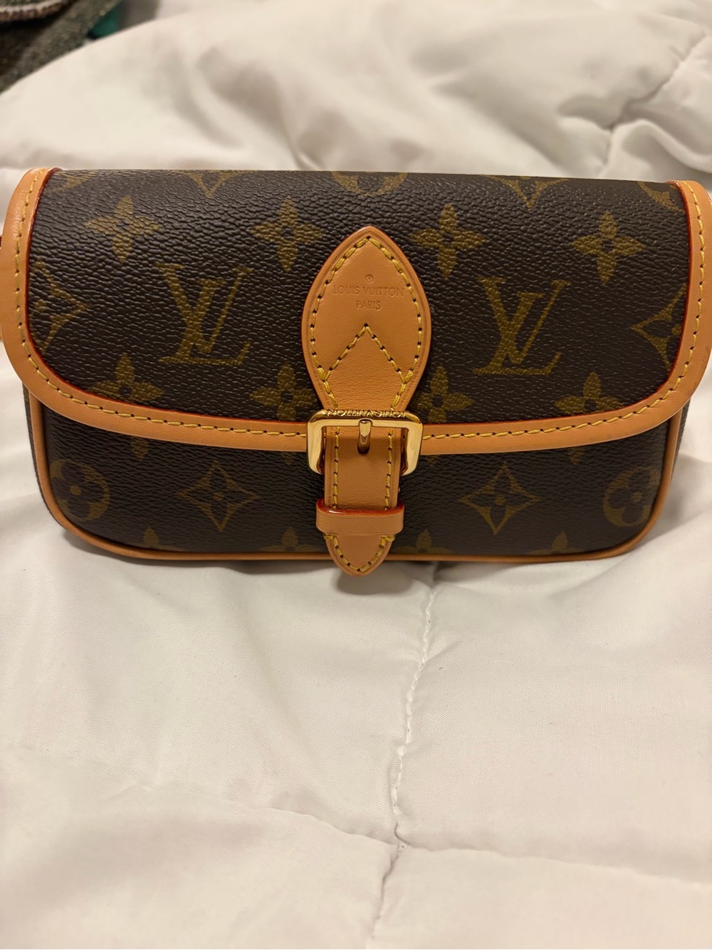Louis Vuitton Monogram Nano Diane - Picture 4 of 13